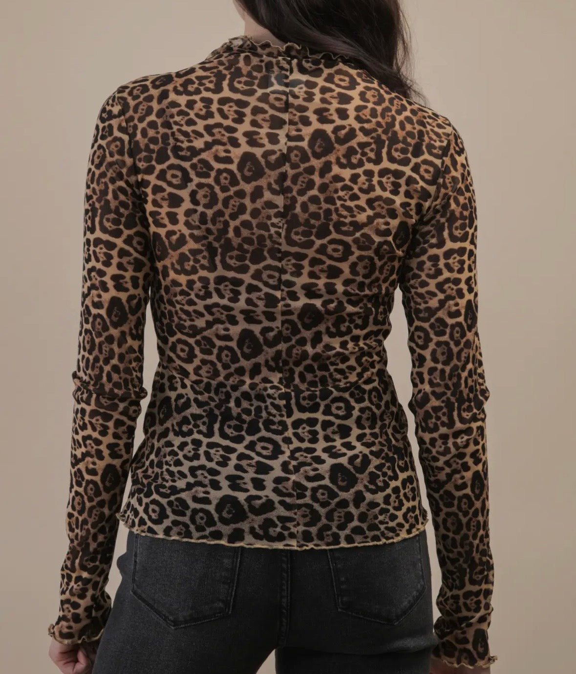 Sheer Leopard Top