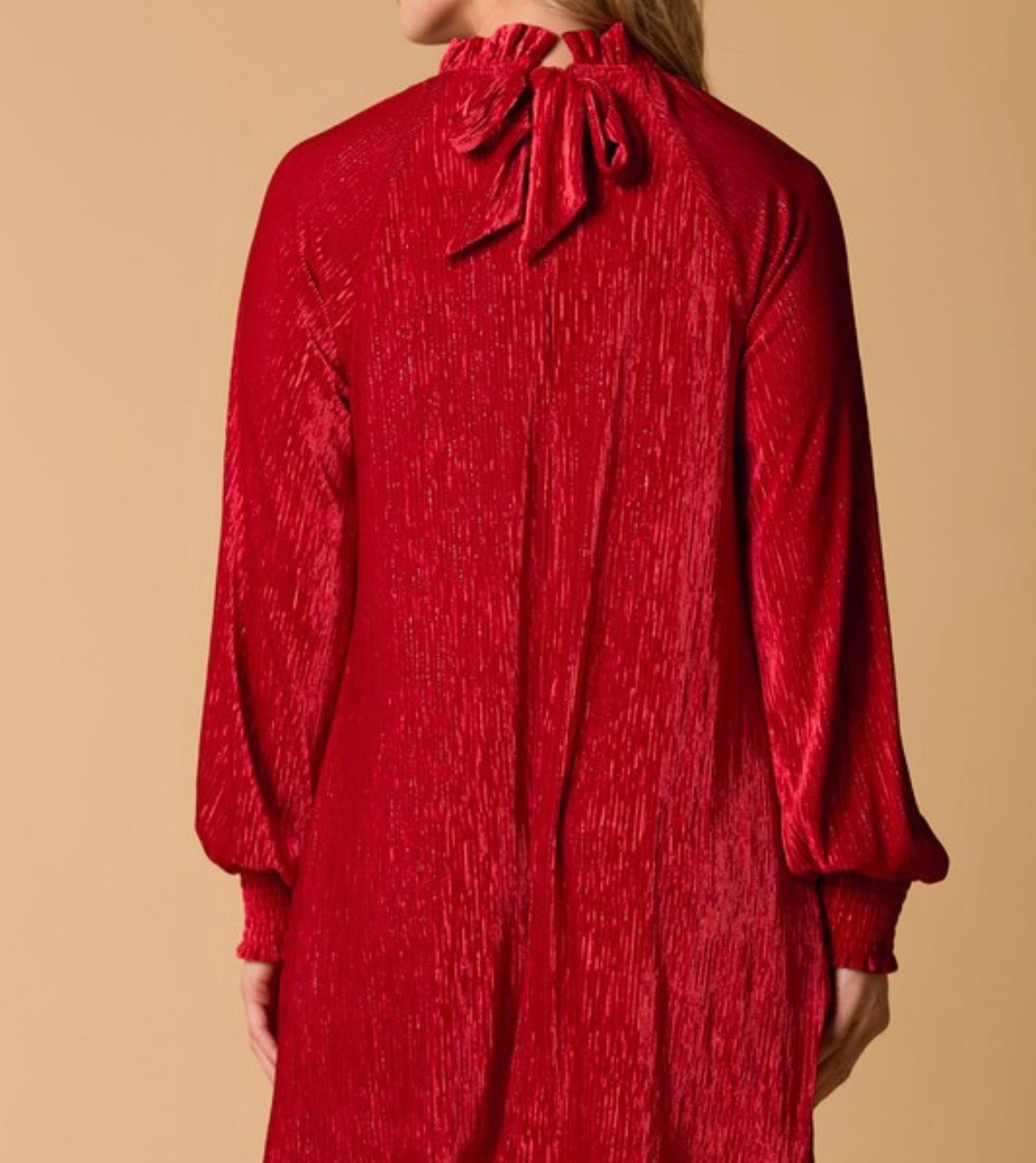 Feeling Festive Velvet Dress
