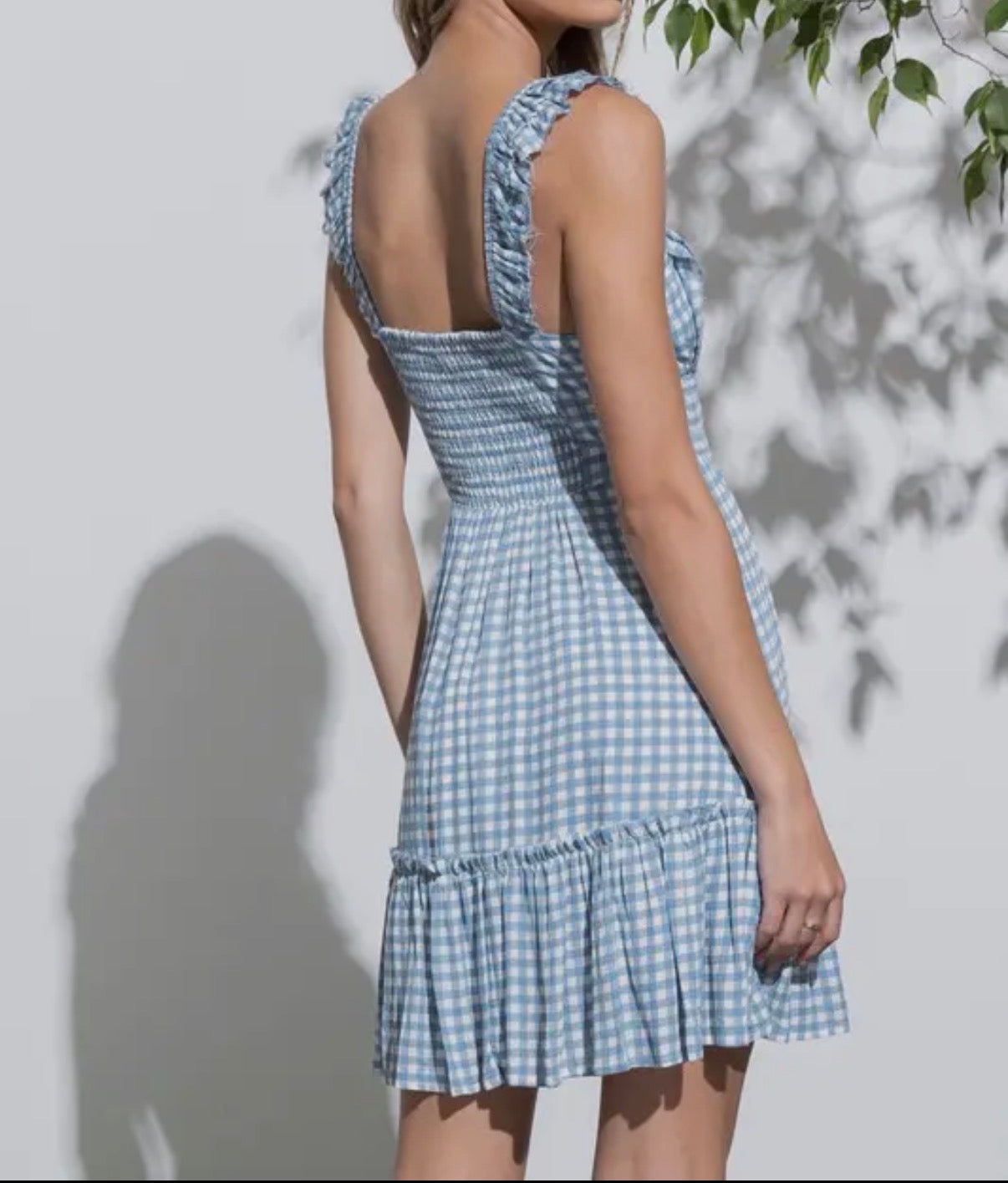 Well Defined Gingham Dress