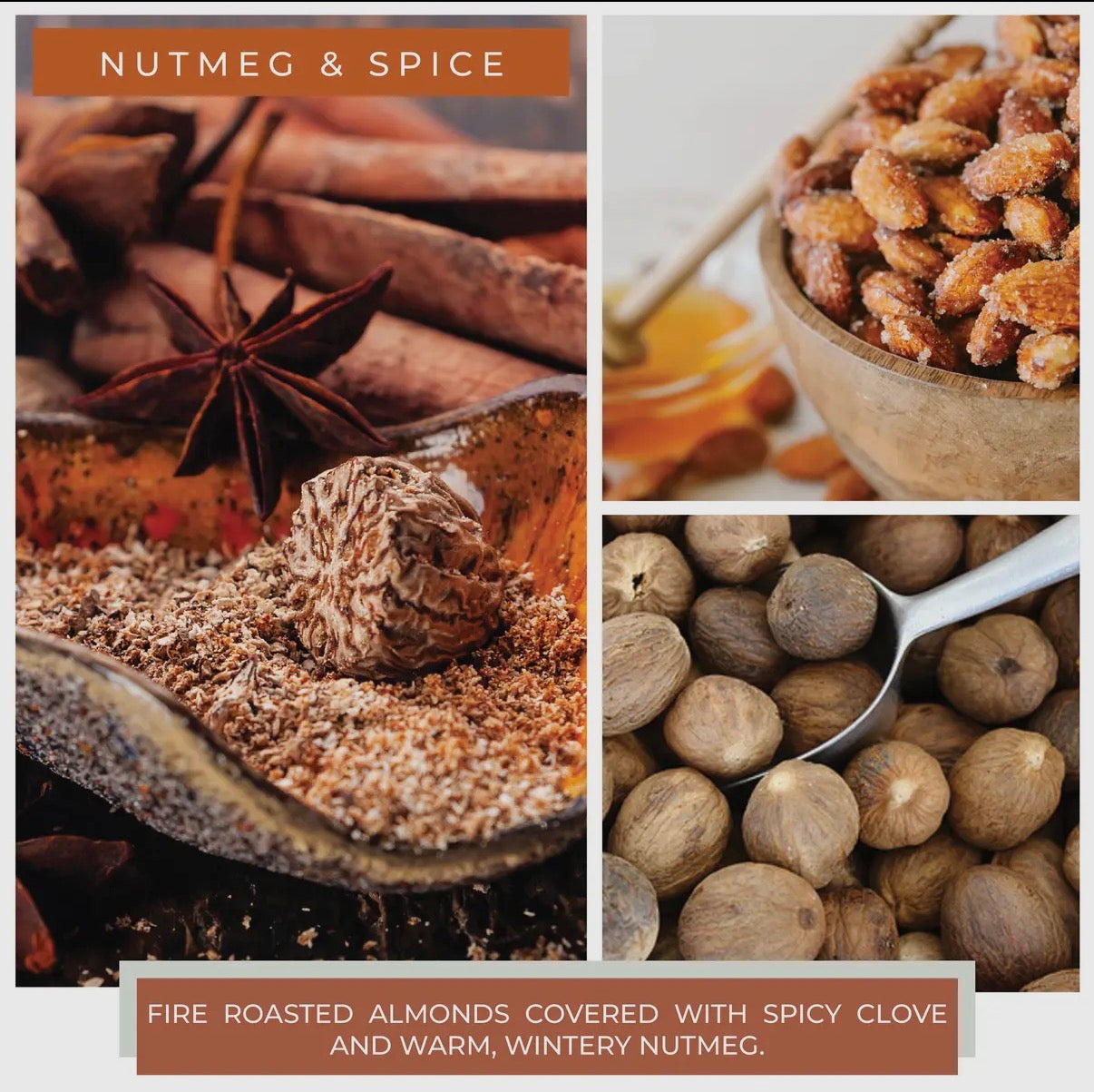 Nutmeg & Spice 6oz Candle