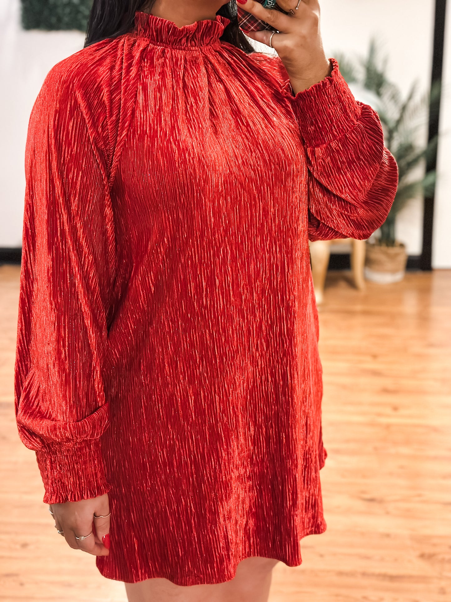 Feeling Festive Velvet Dress