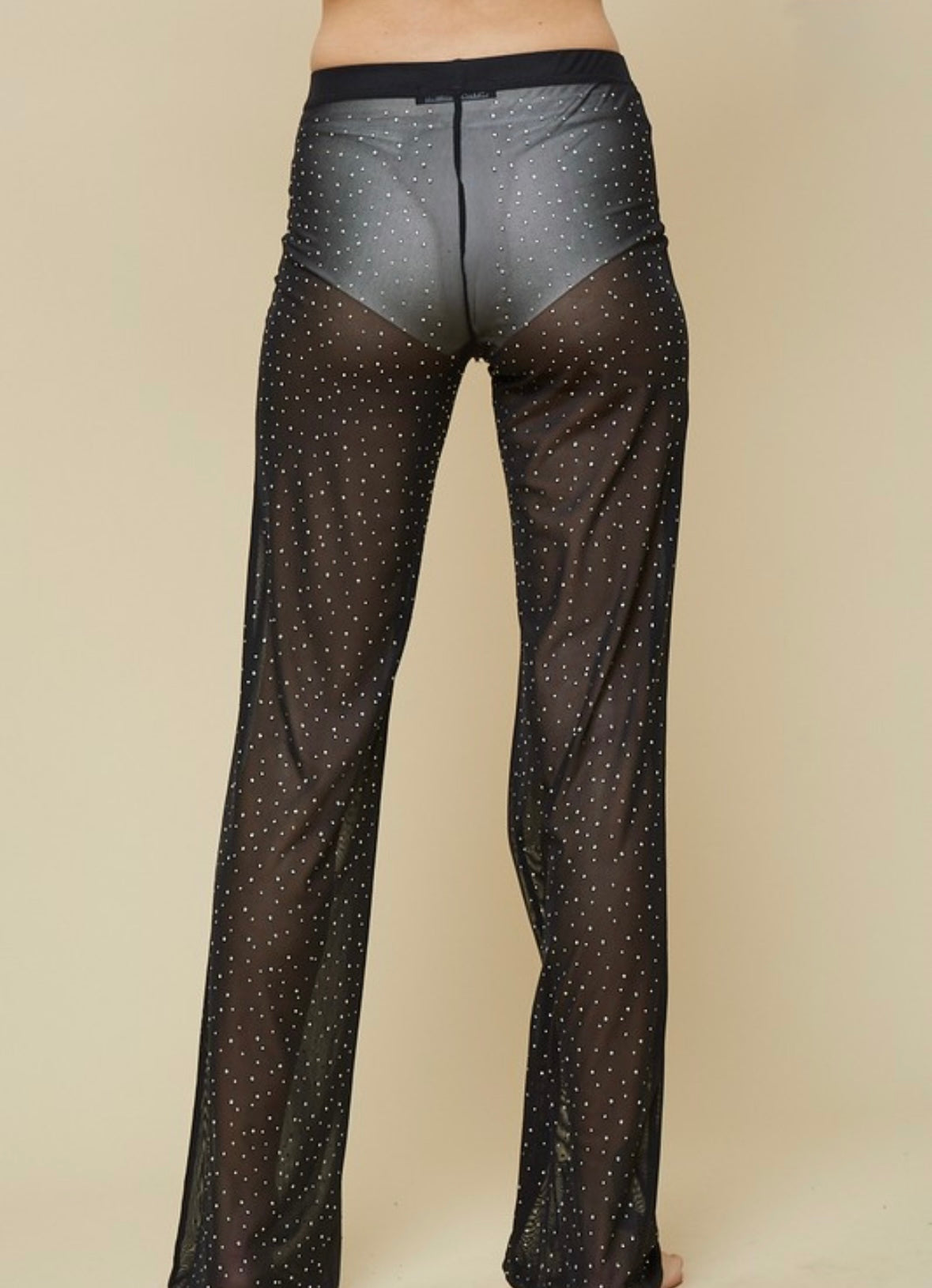 Embellished Mesh Pants