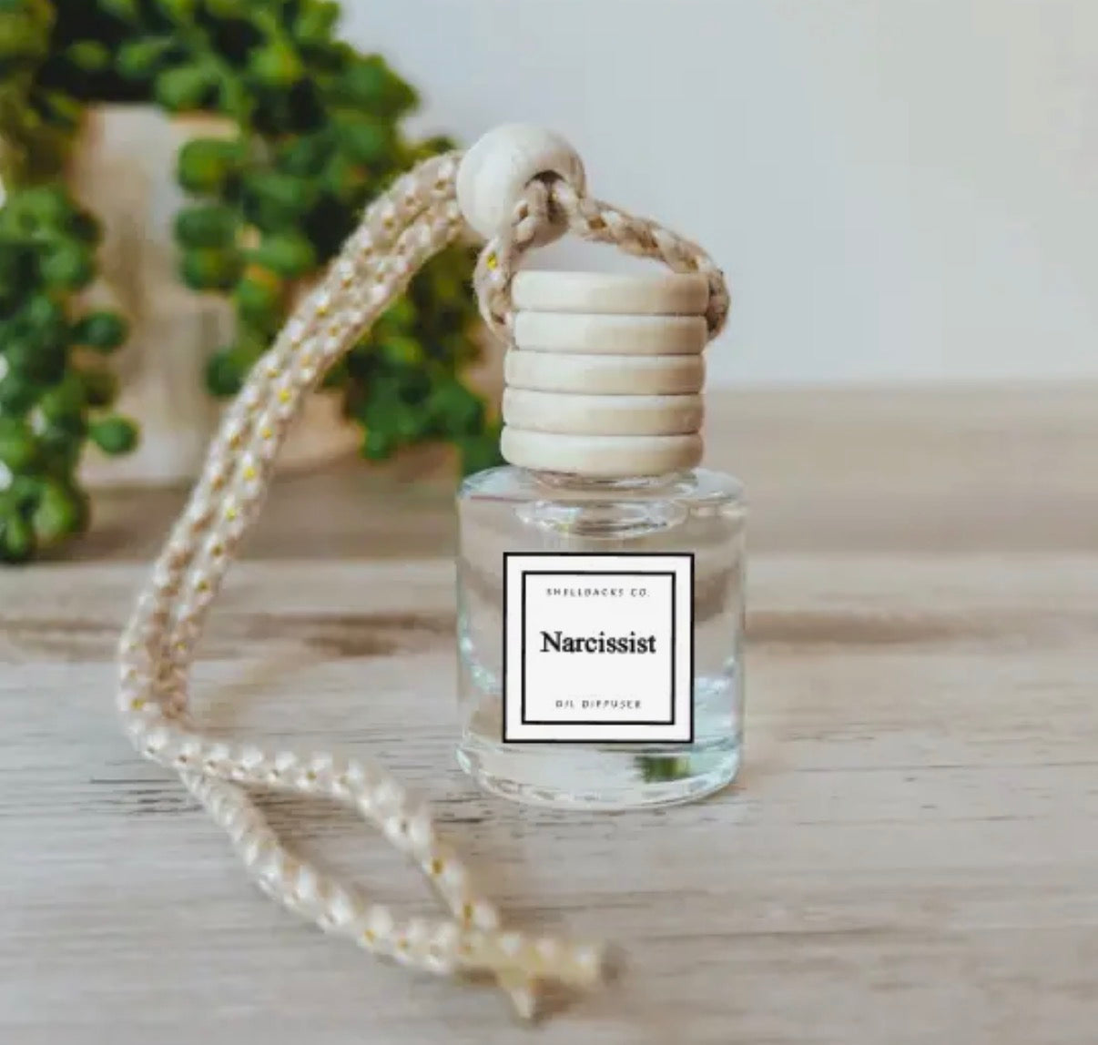 Hanging Car Diffuser