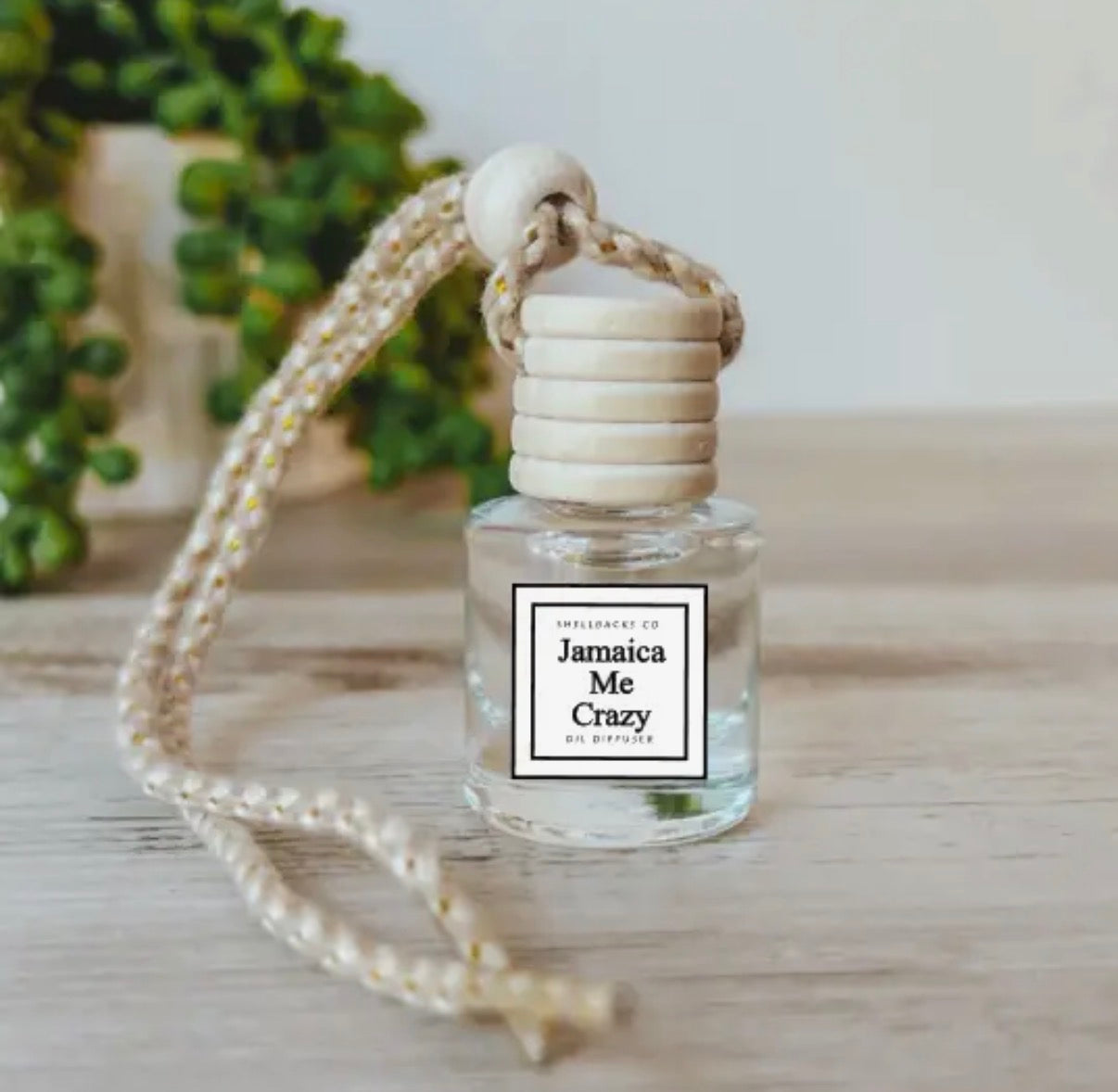 Hanging Car Diffuser