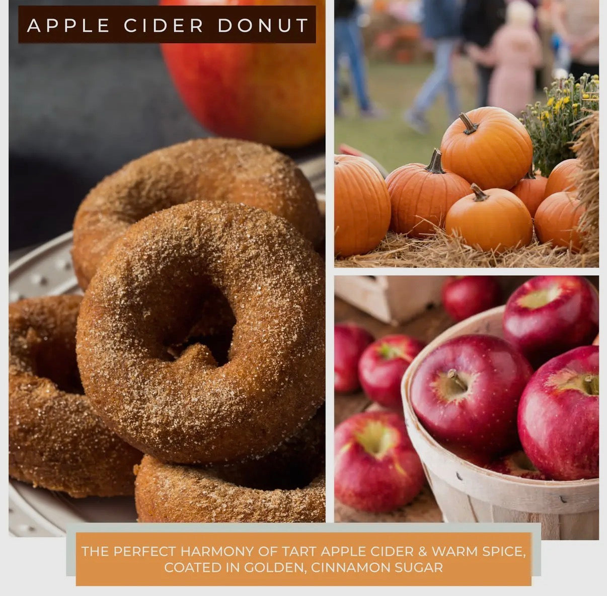 Apple Cider Donut 6oz Candle