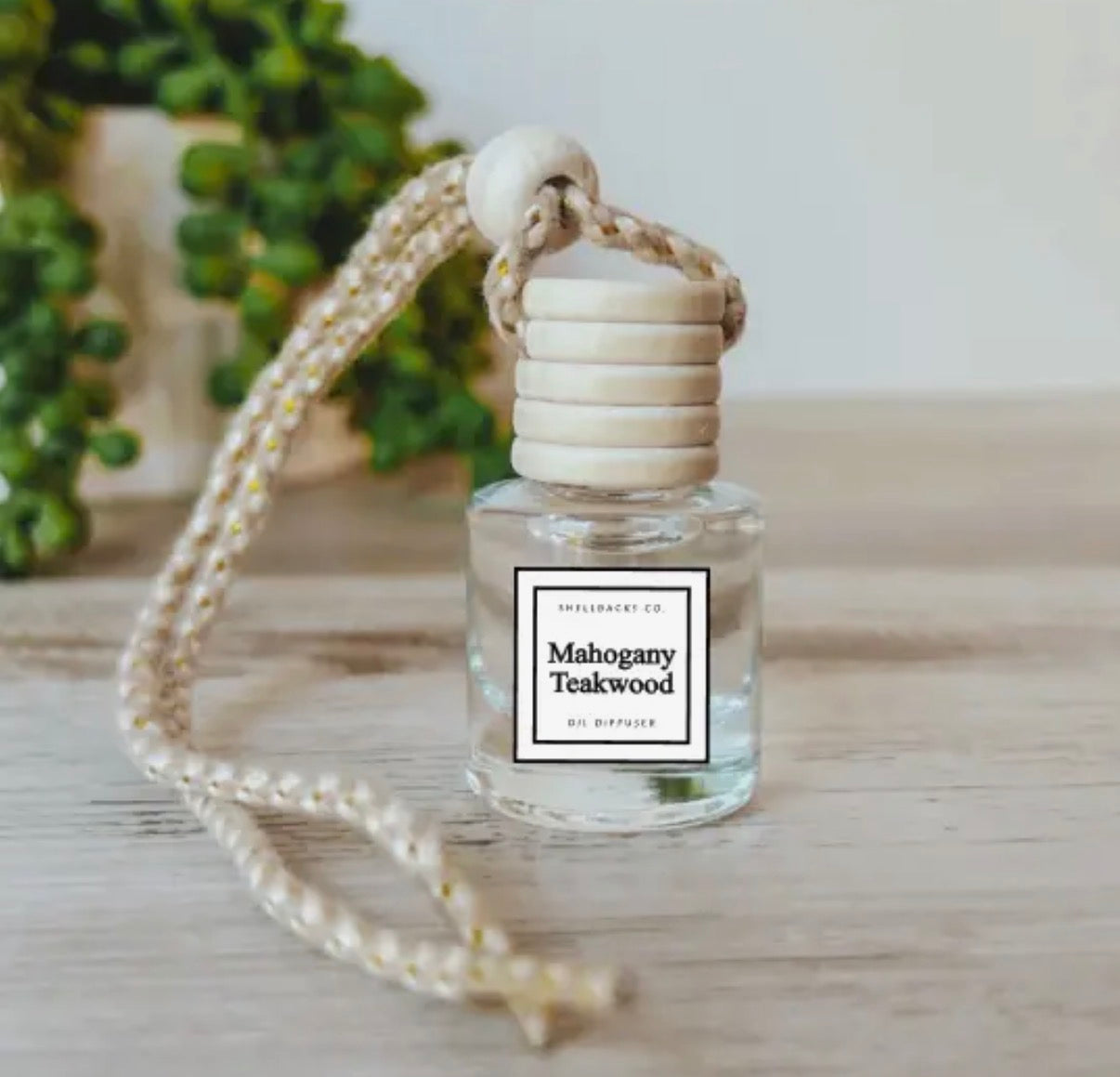 Hanging Car Diffuser