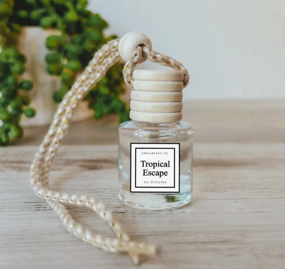 Hanging Car Diffuser