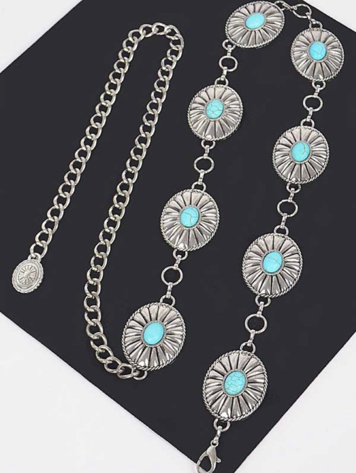Western Metal Chain Belt