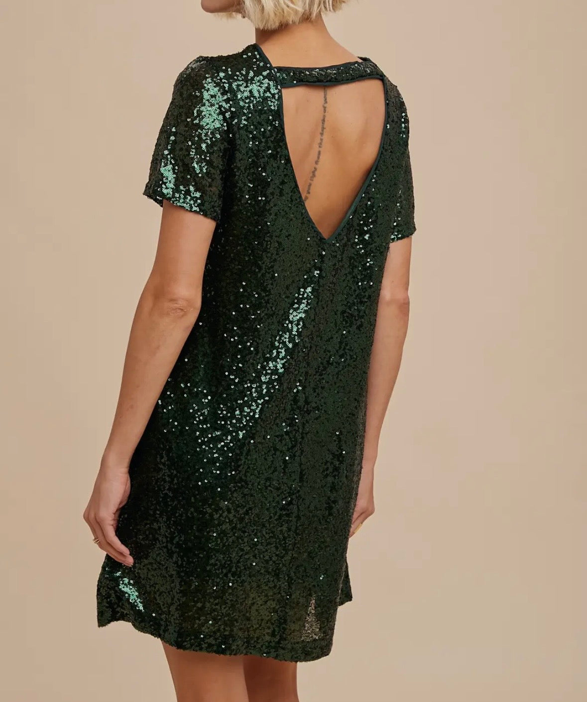 Evening To Shine Sequin Dress