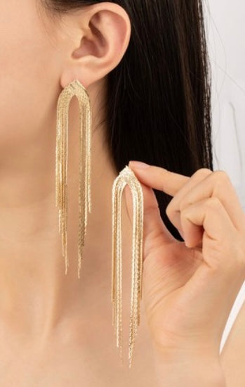 Long Slinky Fringe Earrings