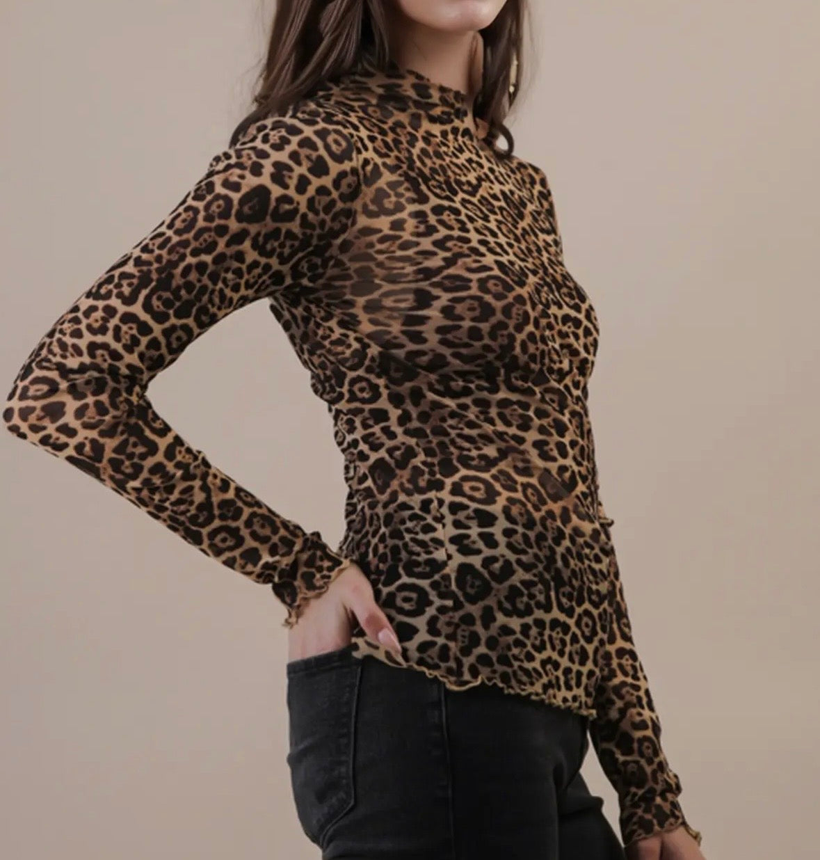 Sheer Leopard Top