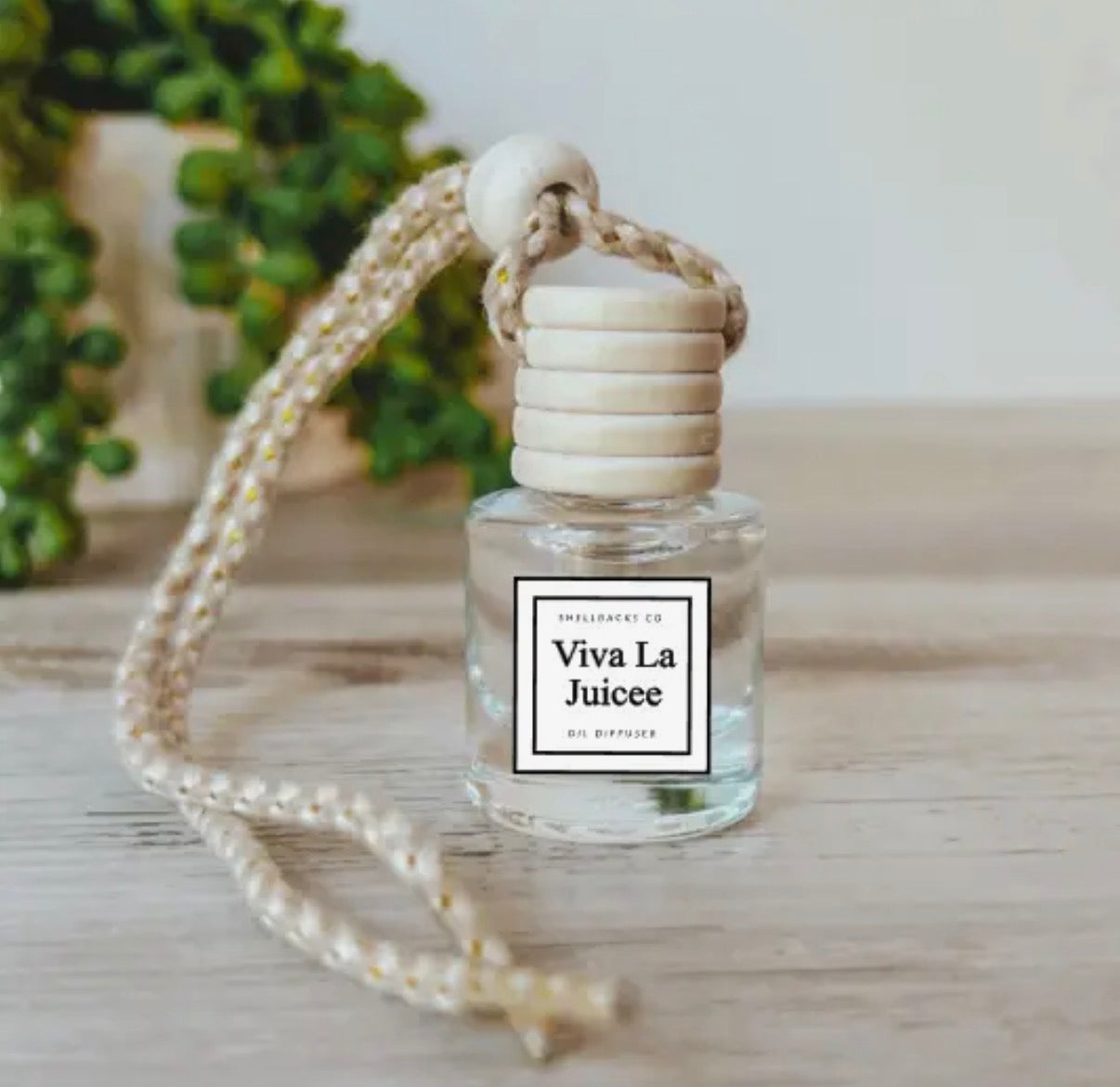 Hanging Car Diffuser