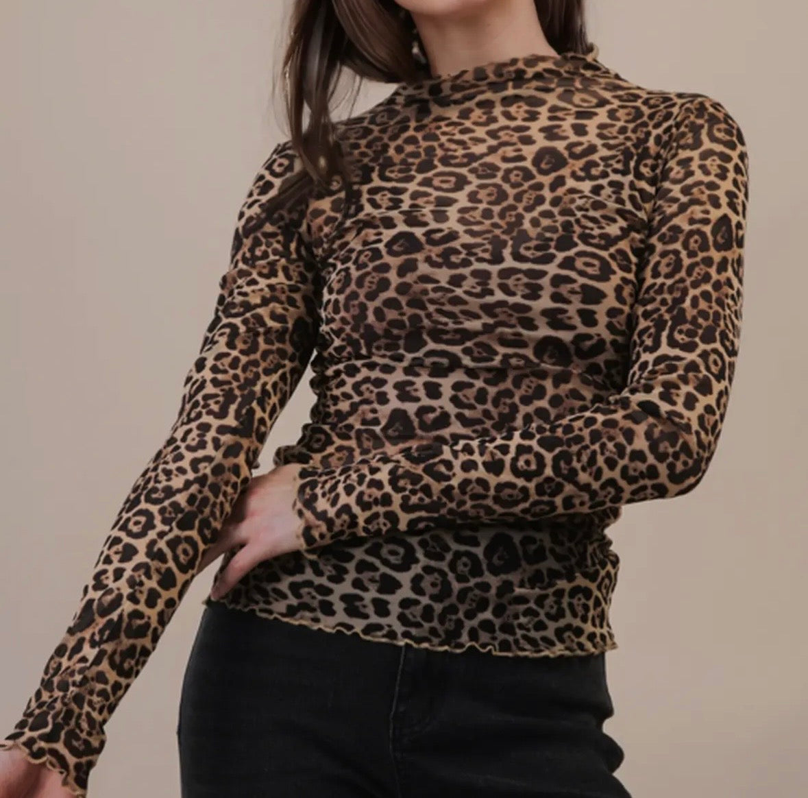 Sheer Leopard Top