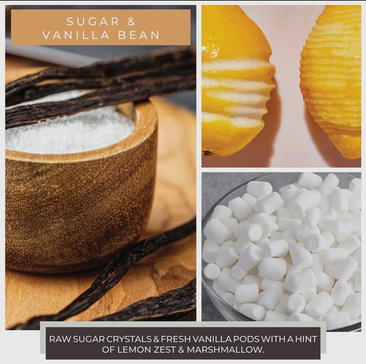 Sugar & Vanilla Bean 6oz Candle
