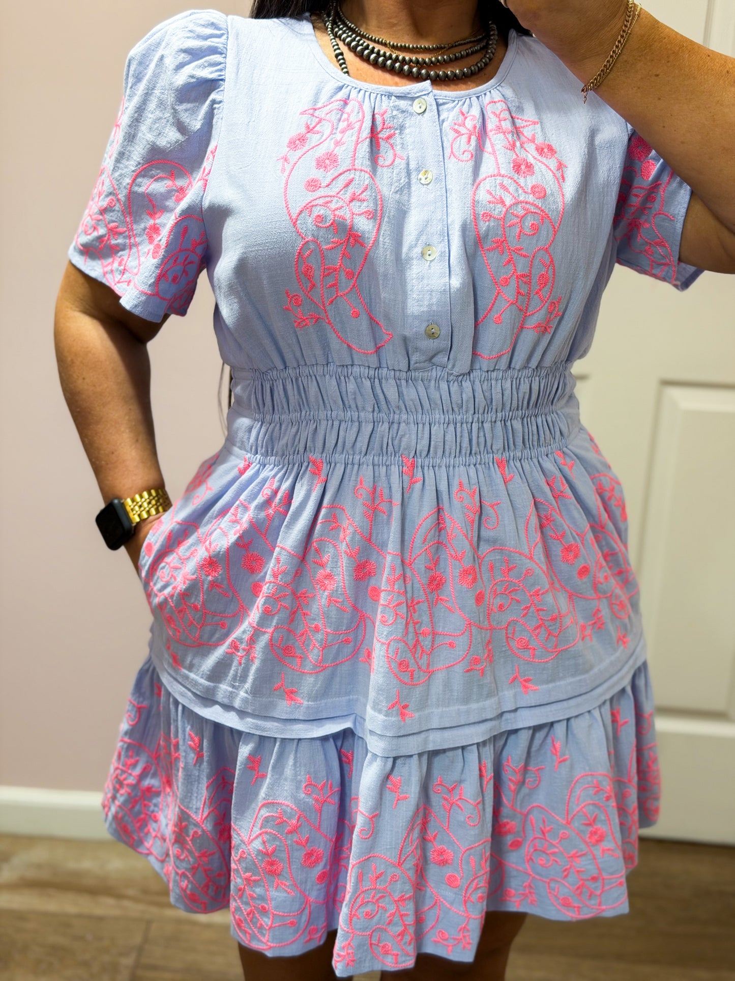 Ever So Sweet Embroidered Dress