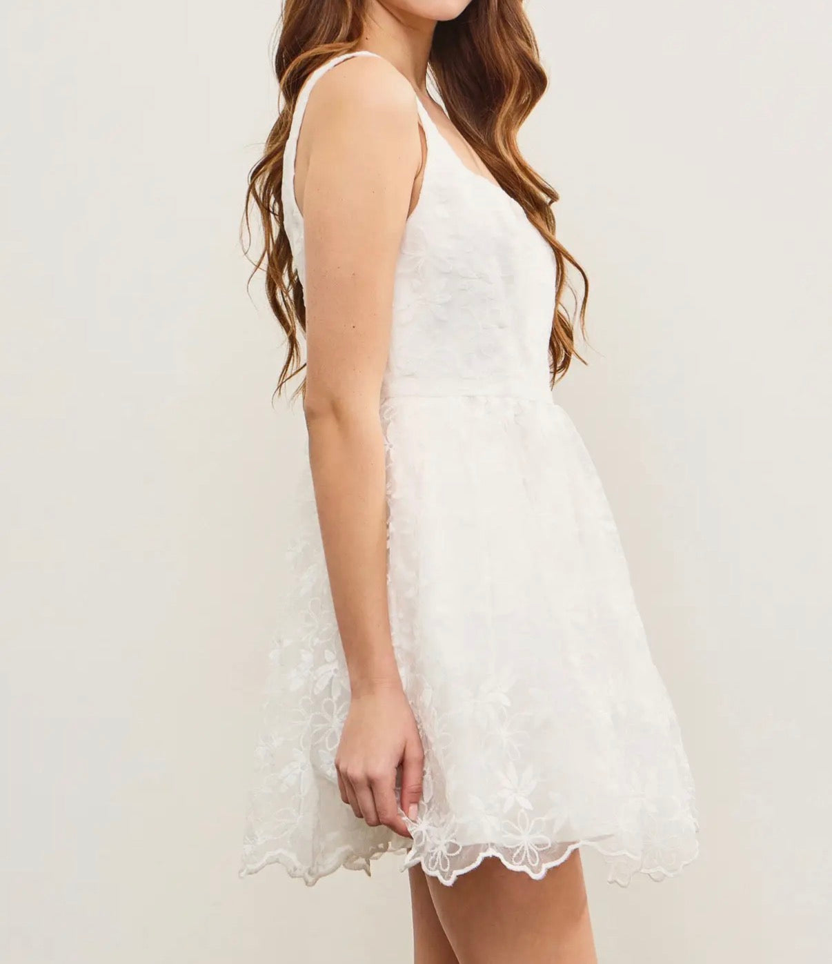 Like A Dream Floral Embroidery Dress
